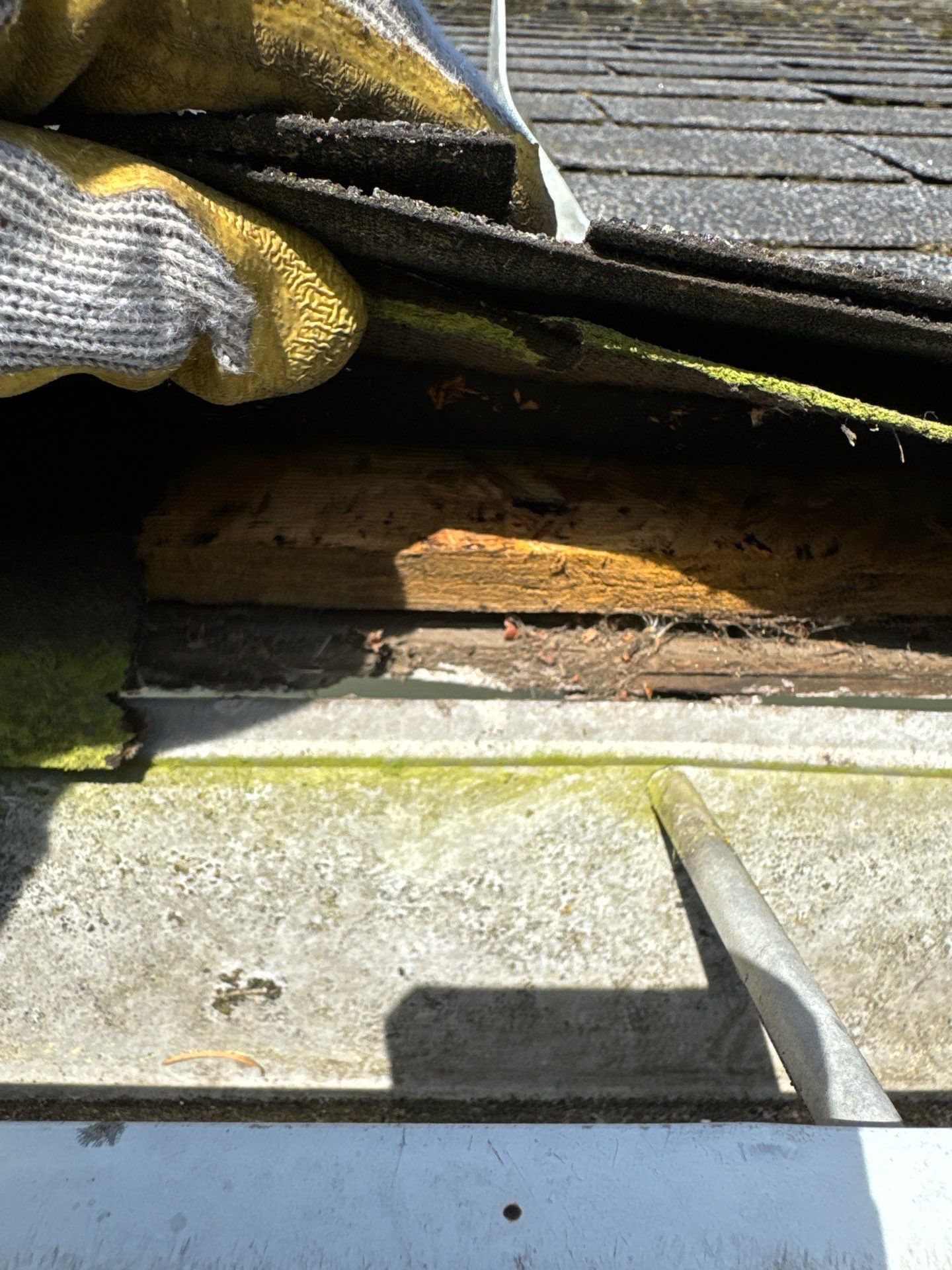 Project in Mount Vernon by Connolly Construction Company