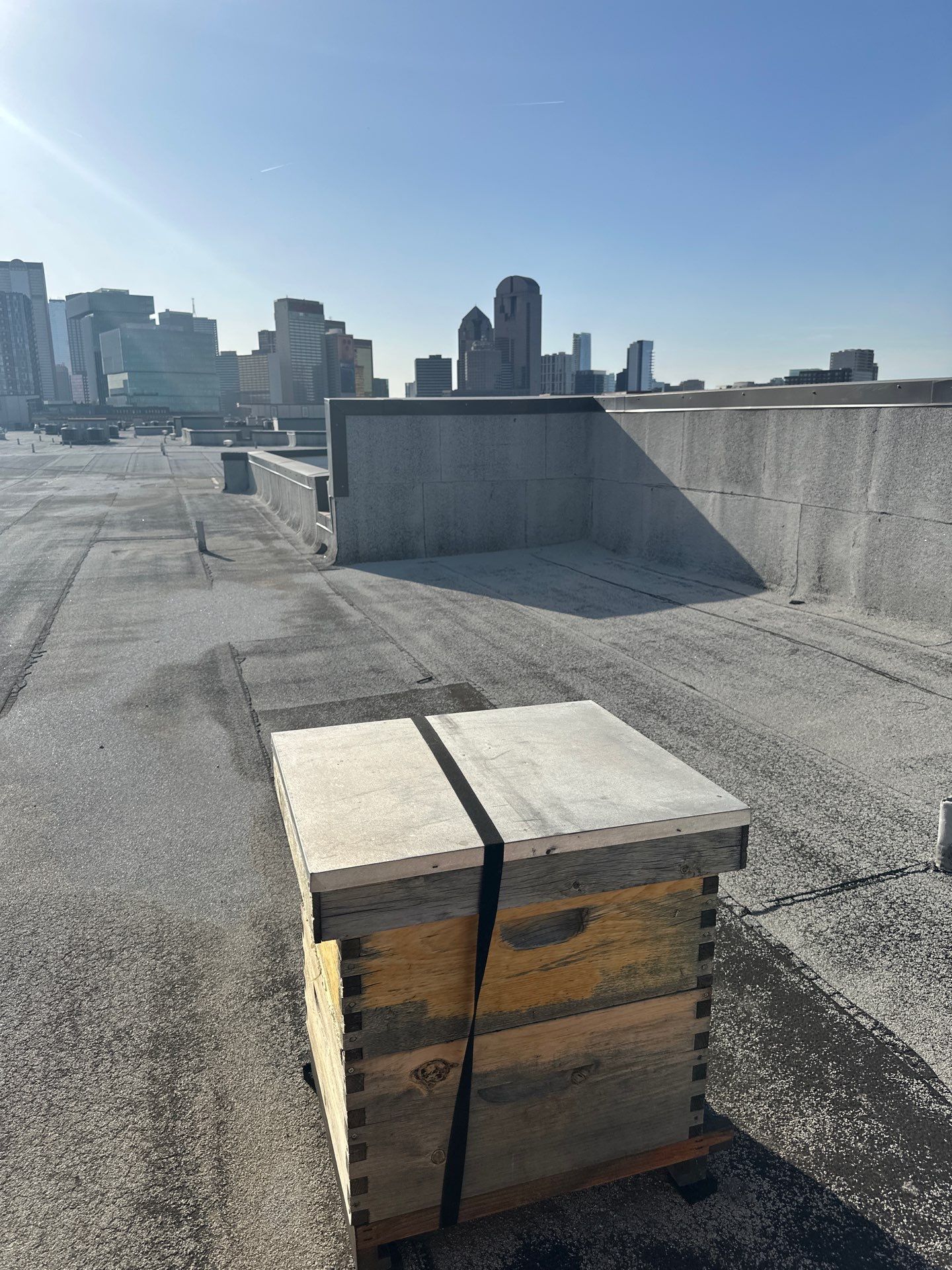 Downtown Apartment Rooftop  by Rockwall Honey Bee Company