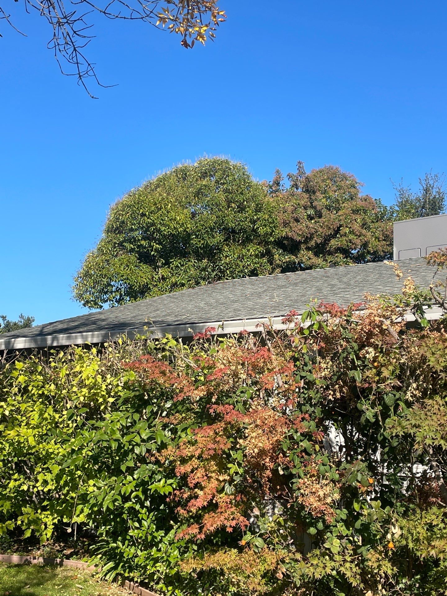 Roof Rejuvenation using Roof Maxx Treatment by Roof Maxx of Folsom