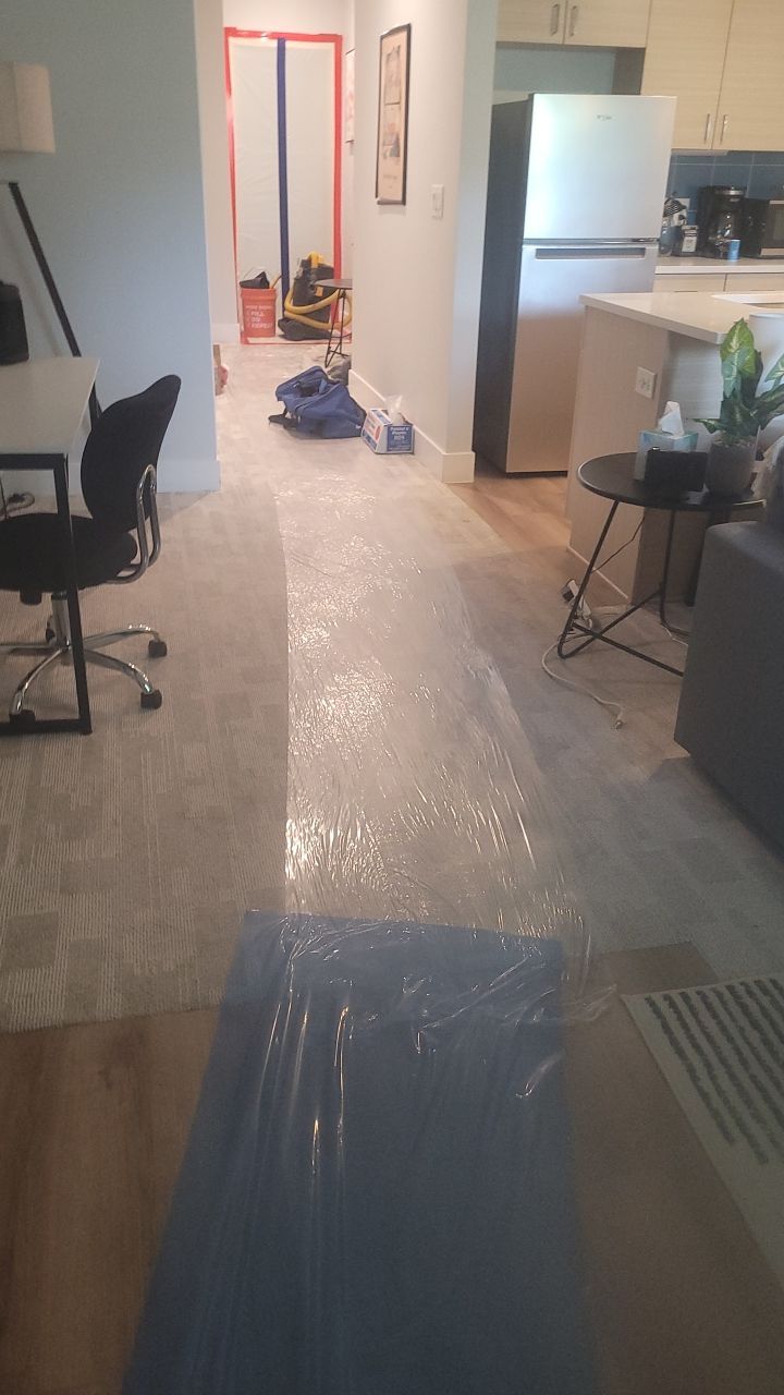 Mold Remediation  by Accountable Home Services