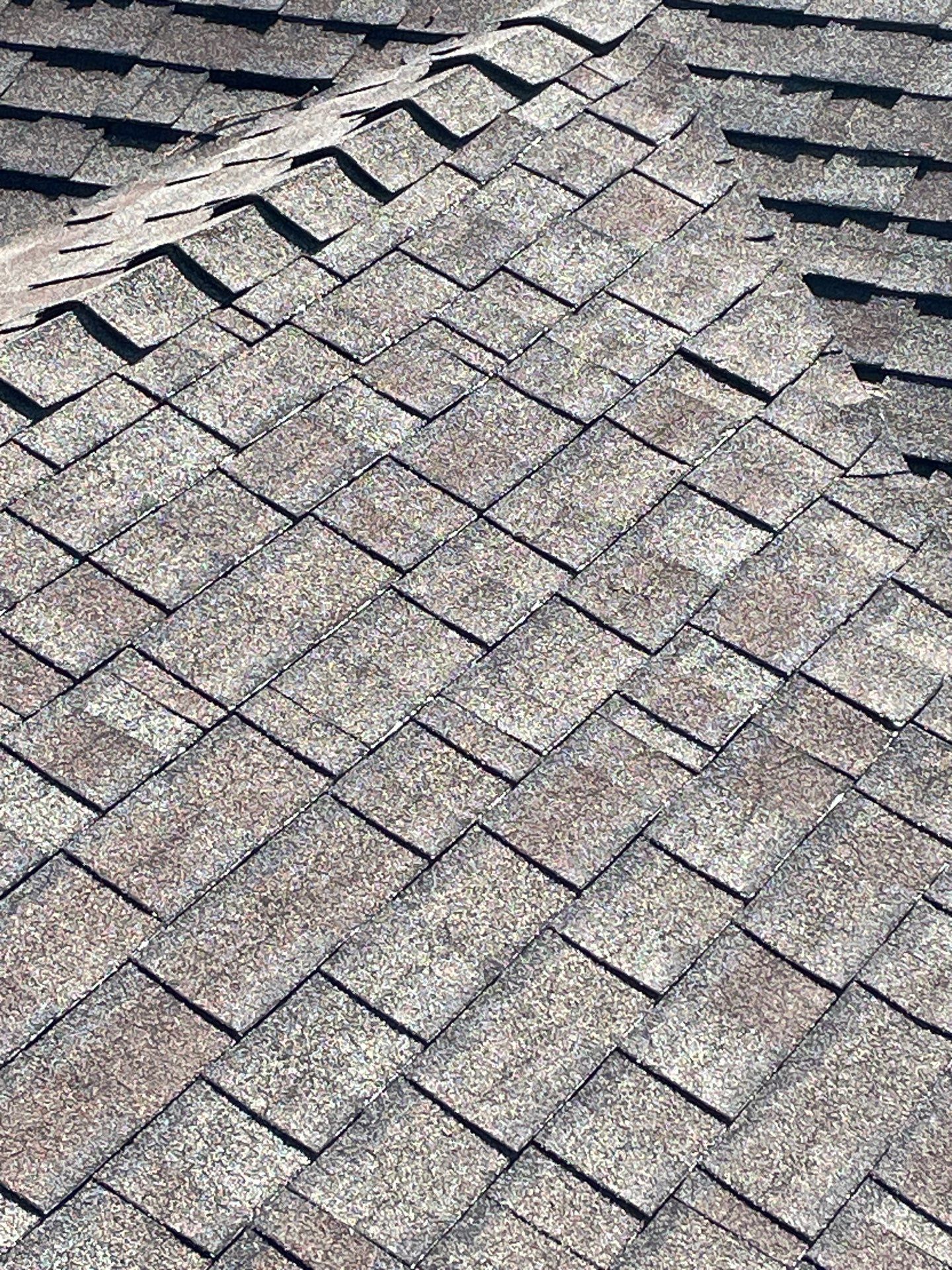 Roof Rejuvenation using Roof Maxx Treatment by Roof Maxx of Folsom