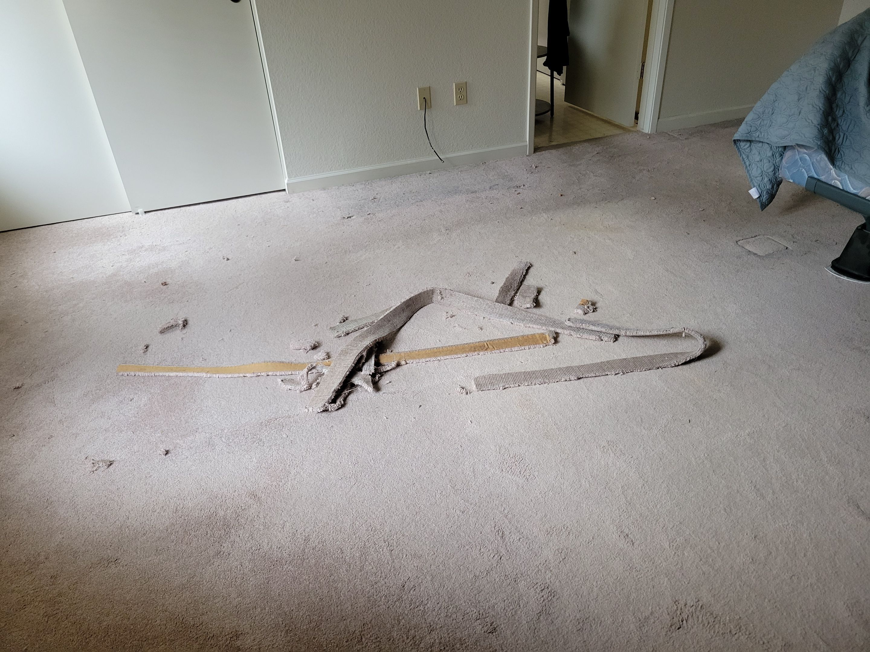 Woodland Carpet Re-stretch and Cleaning by Ardent Carpet Restore LLC