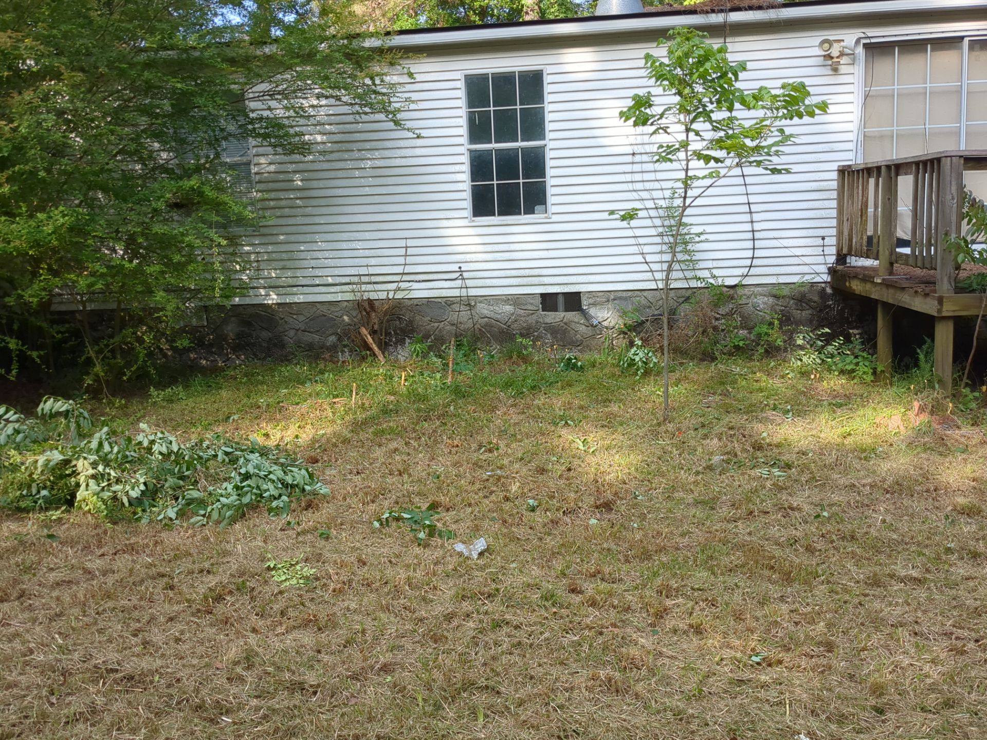 Exterior Clearing - tree trimming - grass cut by Swift Signings and Services LLC
