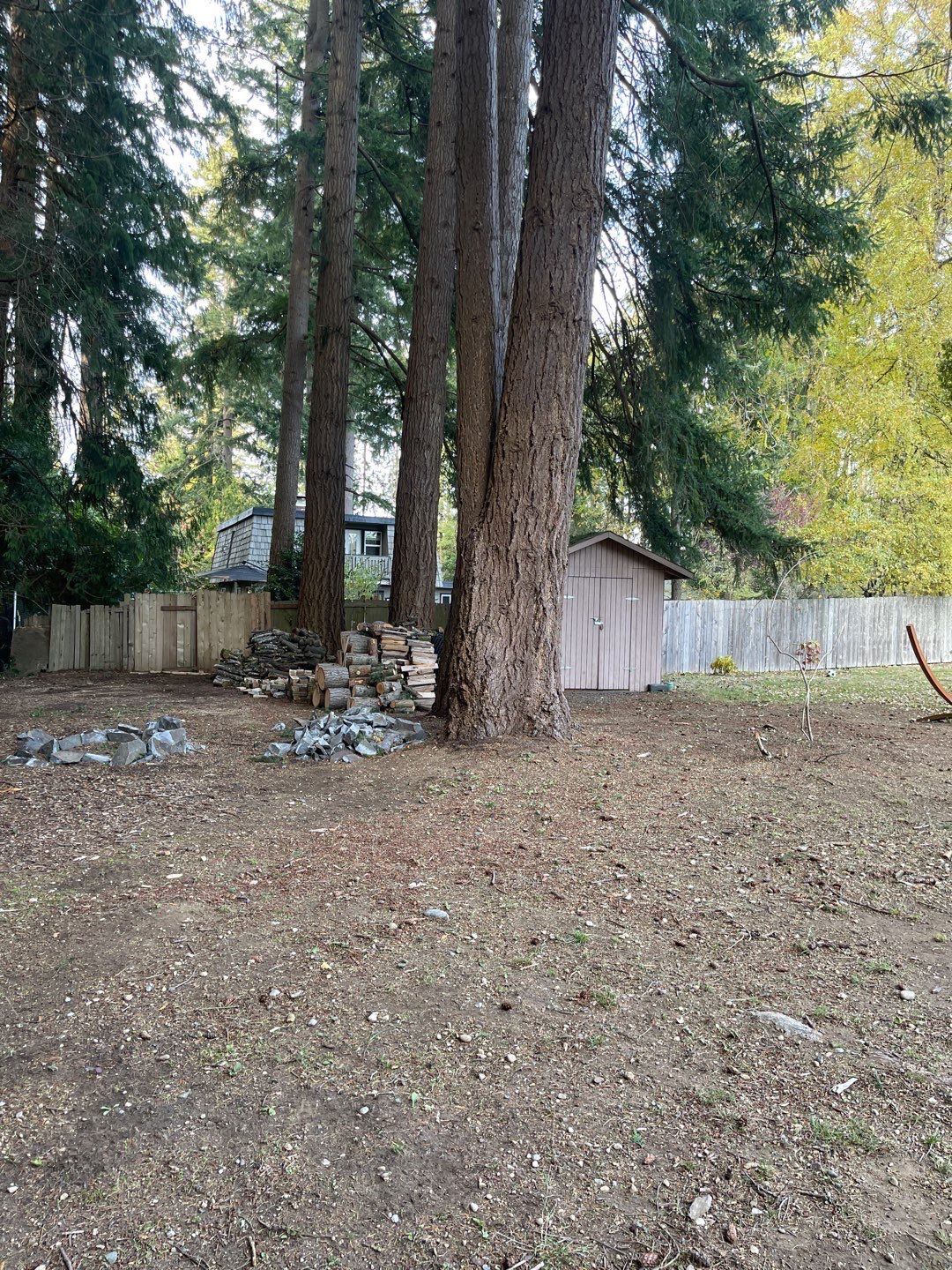 Tree Removal using Tree Removal by Mike Jones & Sons Tree Service LLC 