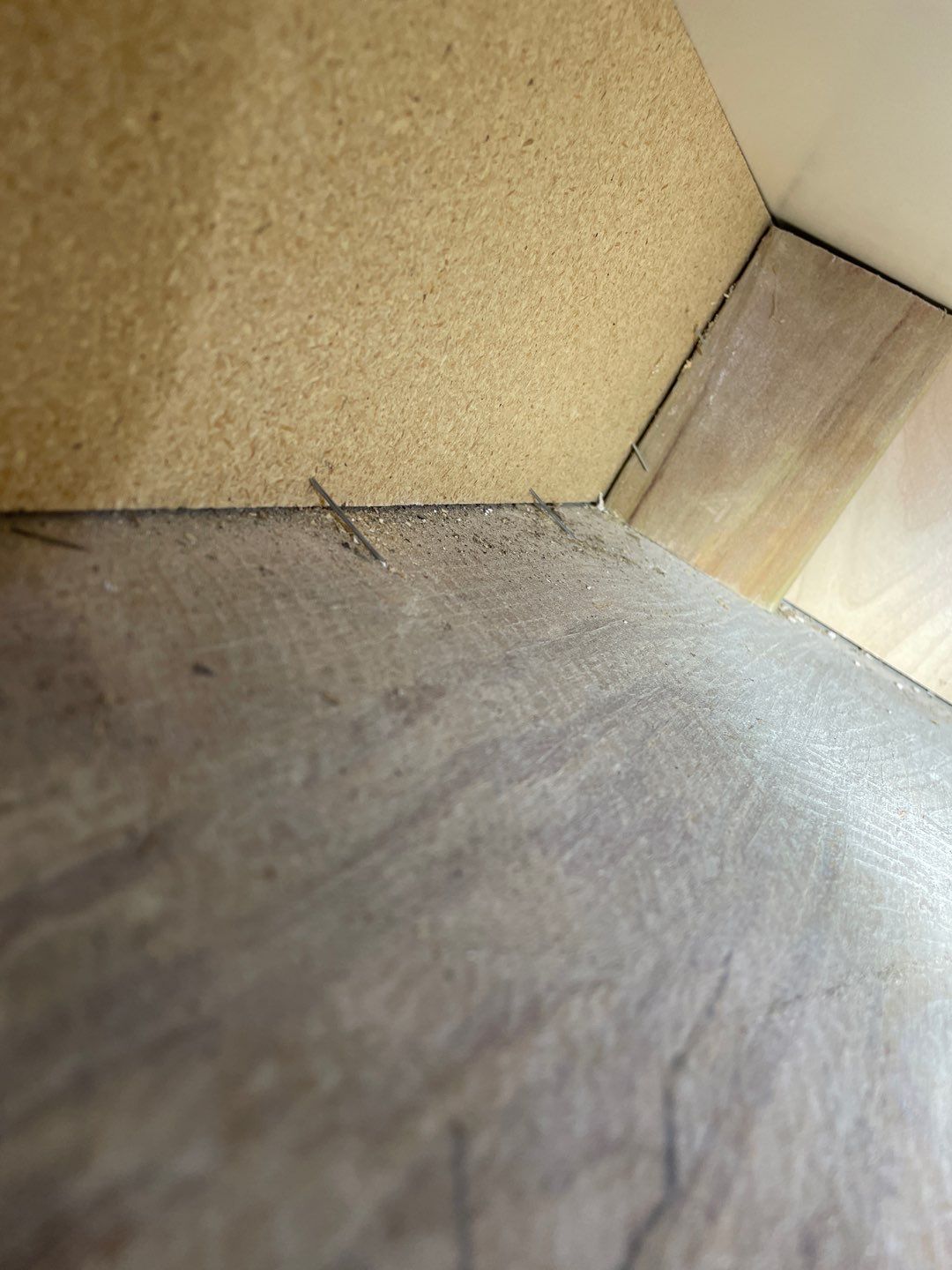 Mold Damage Project in Littleton by Accountable Home Services