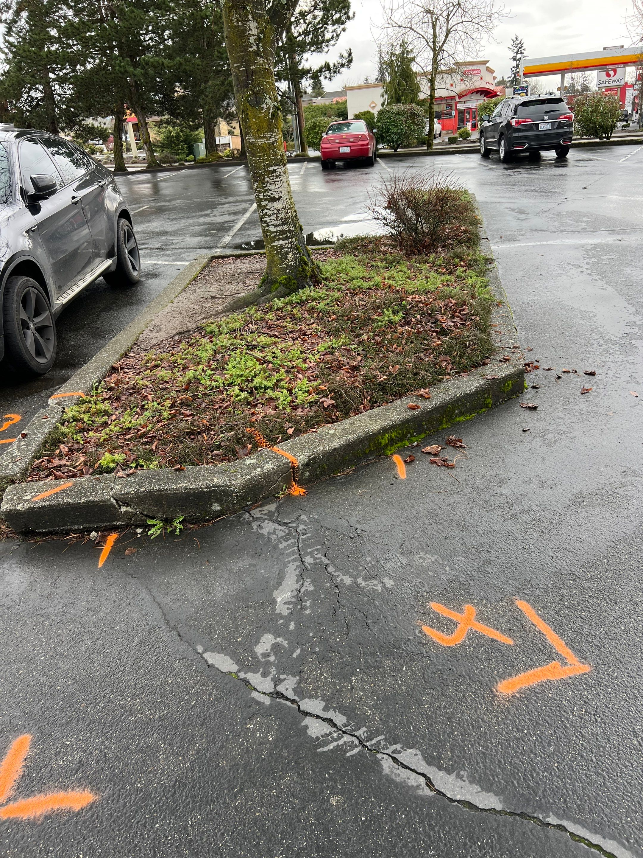 Amanda | Concrete Curb by Jireh Asphalt & Concrete Inc 