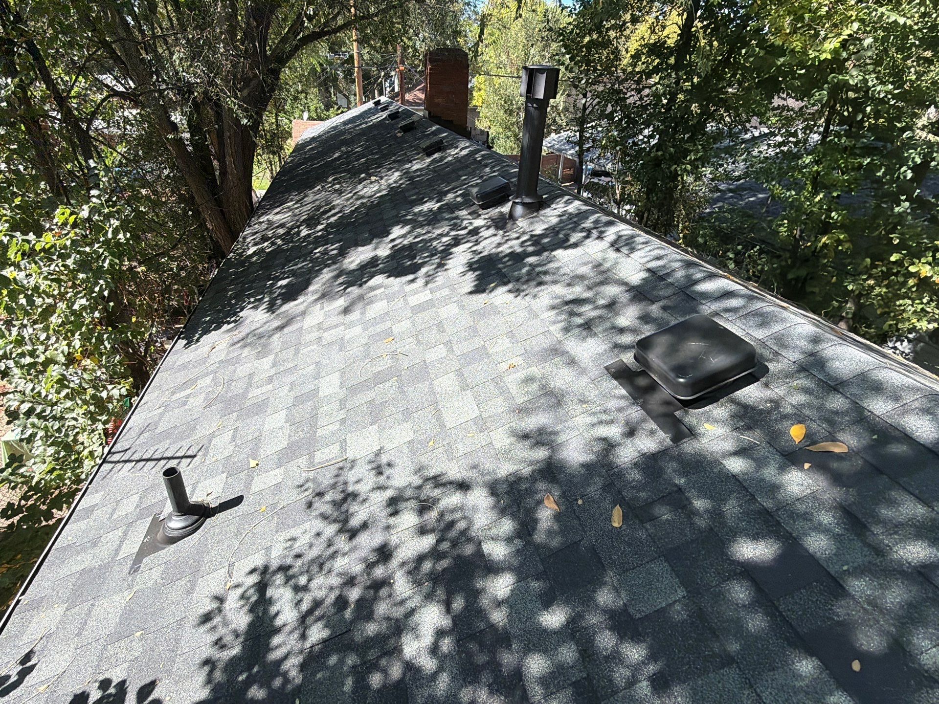 Boise Residential Roof Replacement Featuring Architectural Shingles and New Decking by Olive Roofing