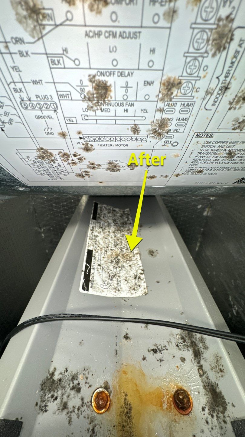 Commercial Air Duct Cleaning in Clermont by Hygienic Air, Inc