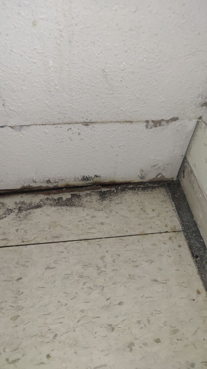 Mold Remediation by Accountable Home Services