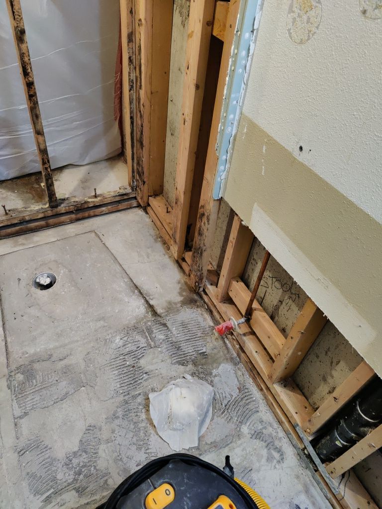 Mold Remediation by Accountable Home Services