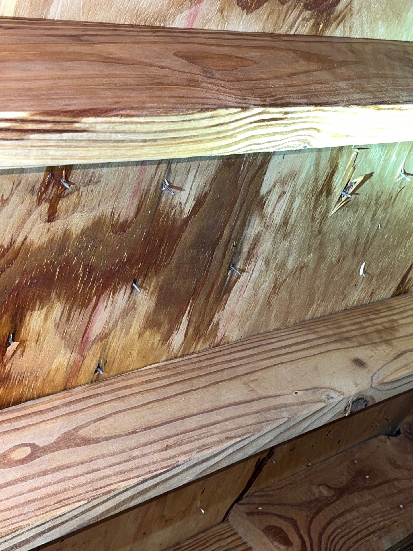 Hail Damage using Owen's Corning Duration (Lifetime) Shingles by Roof Repair Company