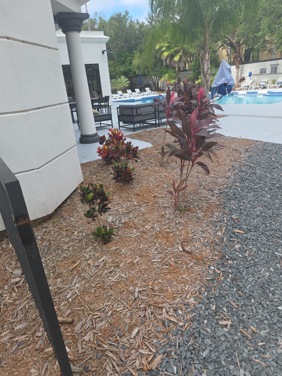 Marriott Hotel | Mulch Refresh by ProGreen Services
