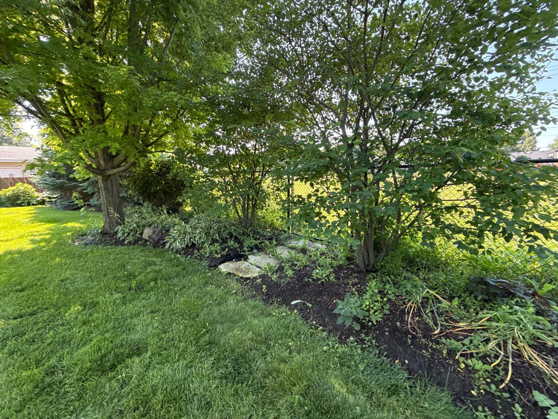 Rob M. - Arlington Heights, IL by A&N 