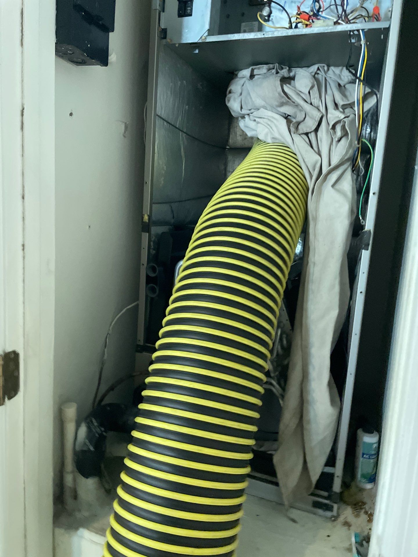 Air Duct Cleaning in Clermont by Hygienic Air, Inc