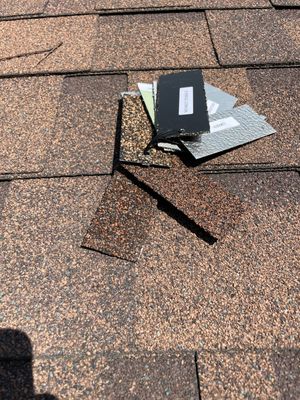 Turtle Shell gutter protection installation in Naperville, IL 60540, photograph 17