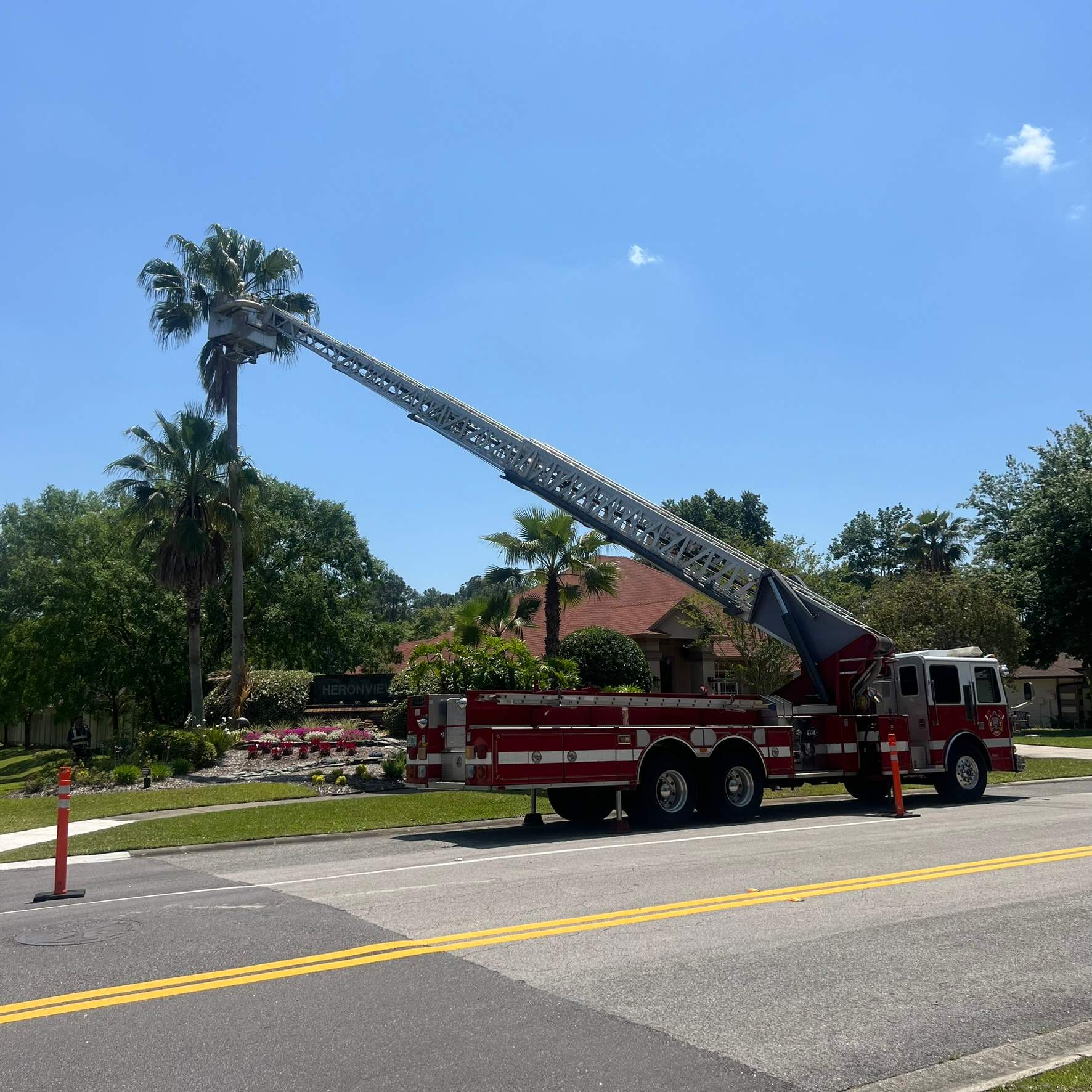 Tree Work | Heronview HOA by ProGreen Services