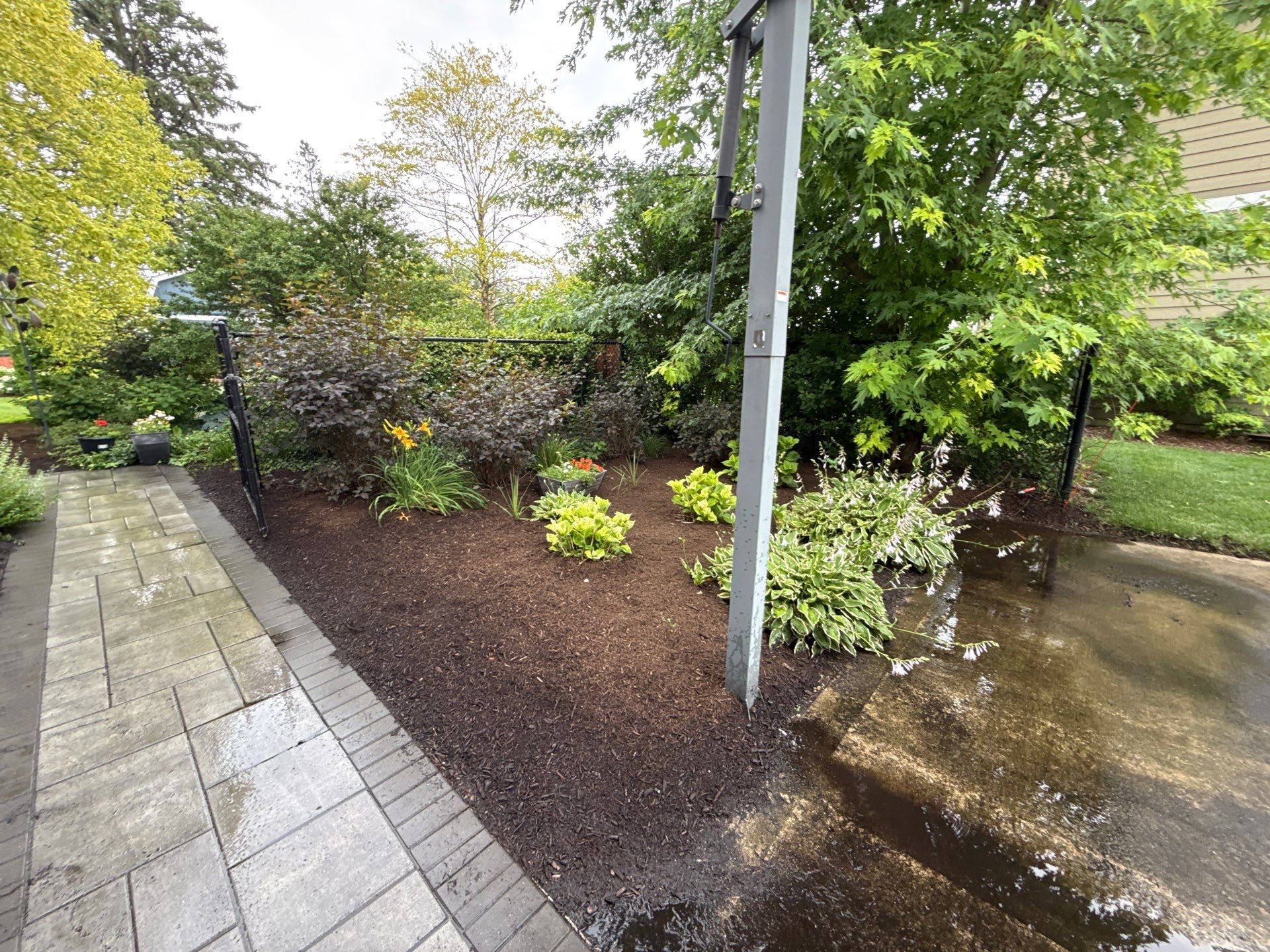 Rob M. - Arlington Heights, IL by A&N 