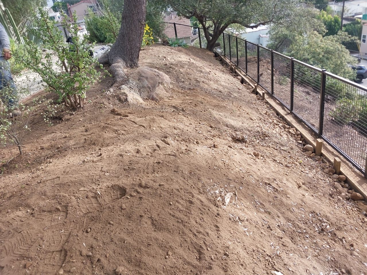 Flores Artscape featured photo.