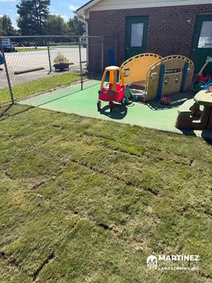 Sod installation