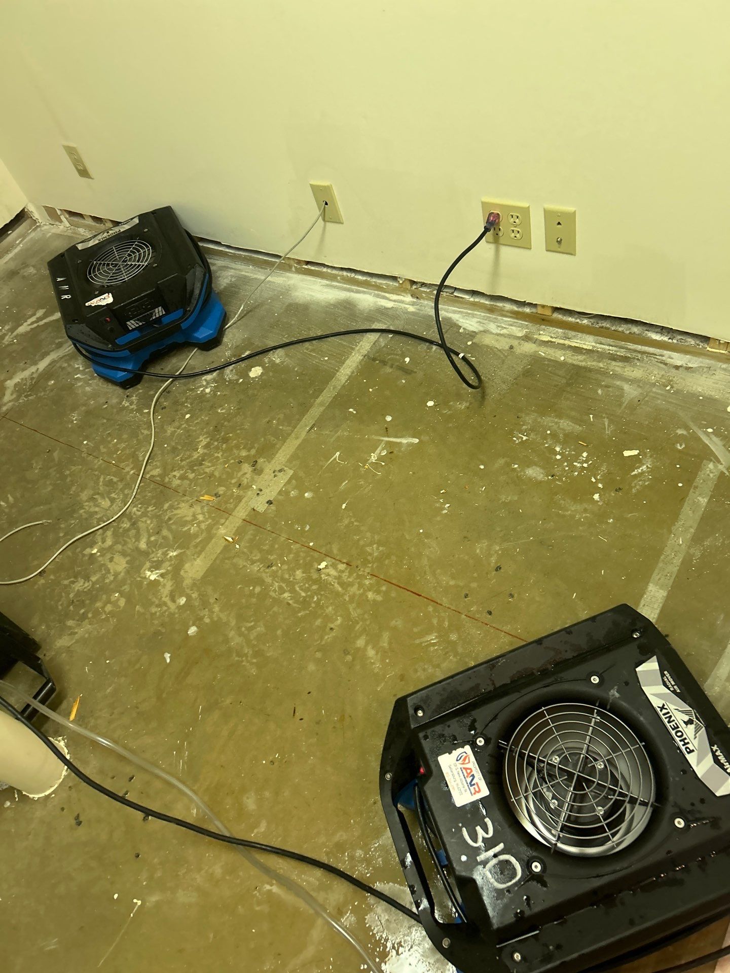 Water Mitigation and Restoration by ANR Restoration