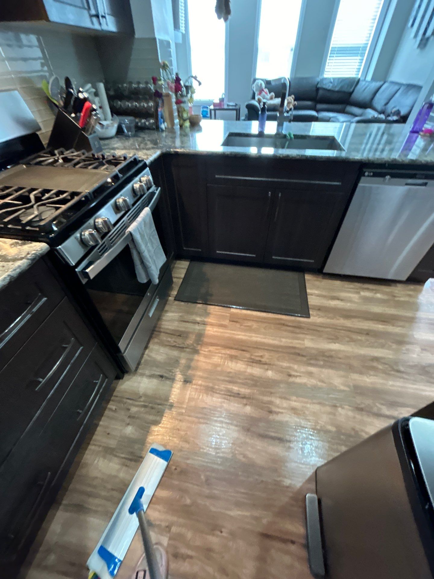 Monthly Recurring Cleaning Services  by Tidyups Cleaning Service Inc