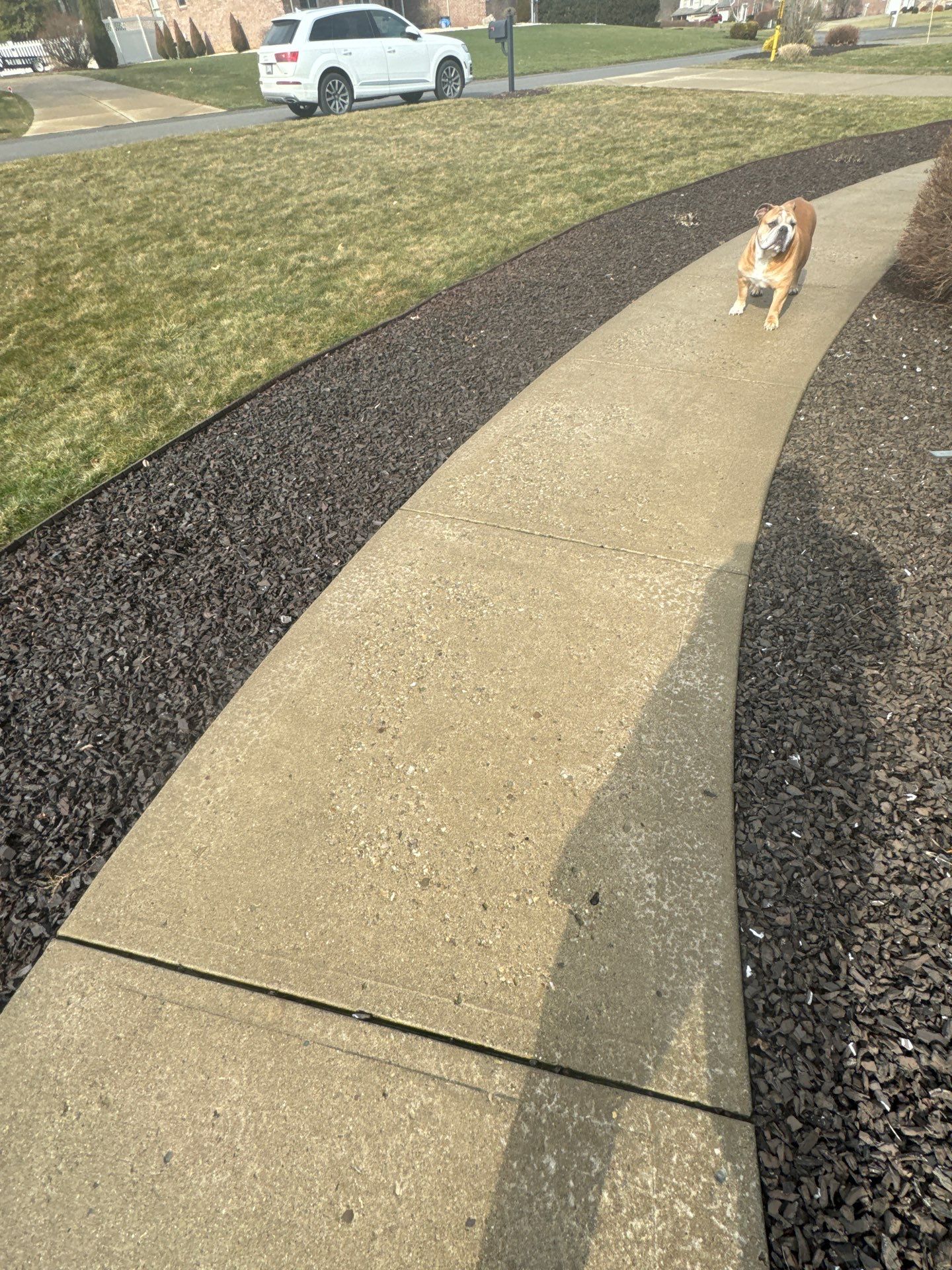 Driveway + Garage + Walkway Project in Meridian by Floors in a Day, Inc