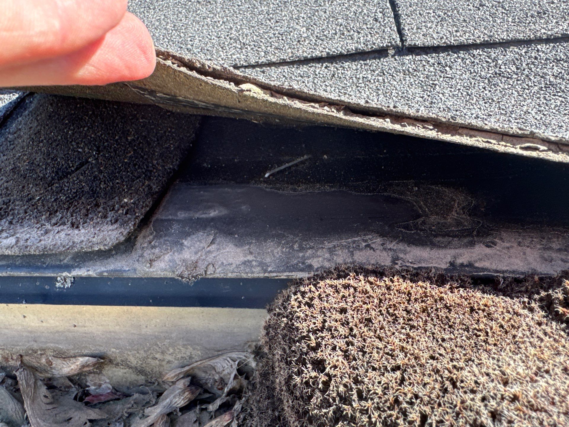 Residential Roof Replacement and Decking Repair in Boise, Idaho by Olive Roofing