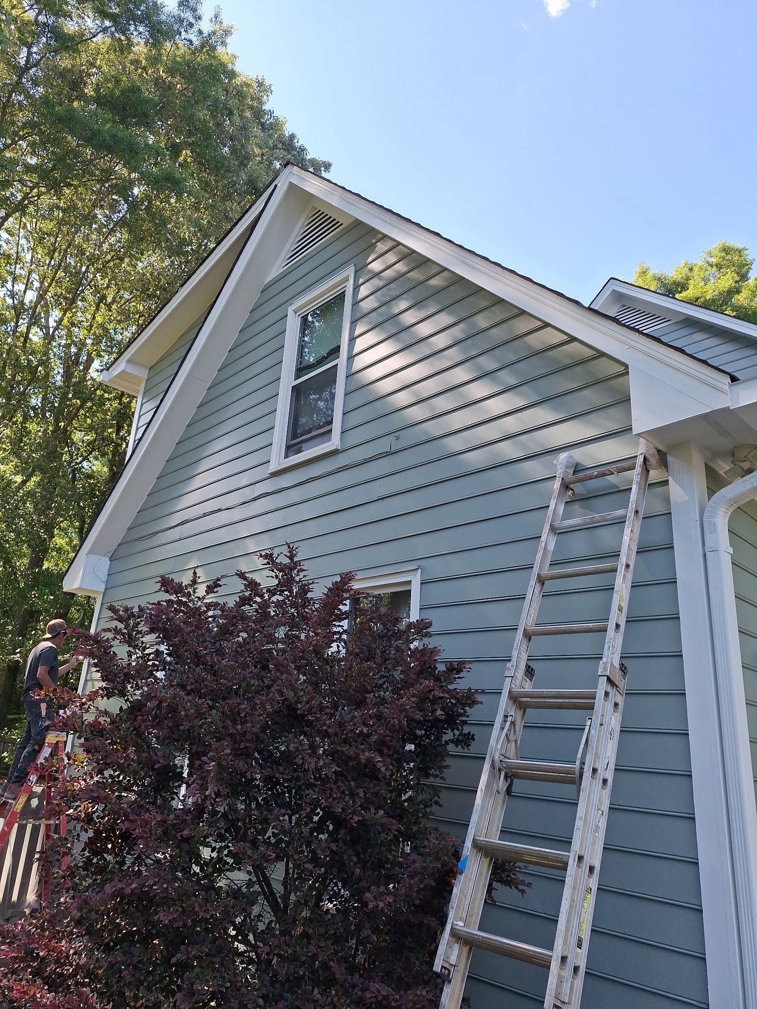 Siding Replacement and painting by GonzalezPainters & Contractors Inc 
