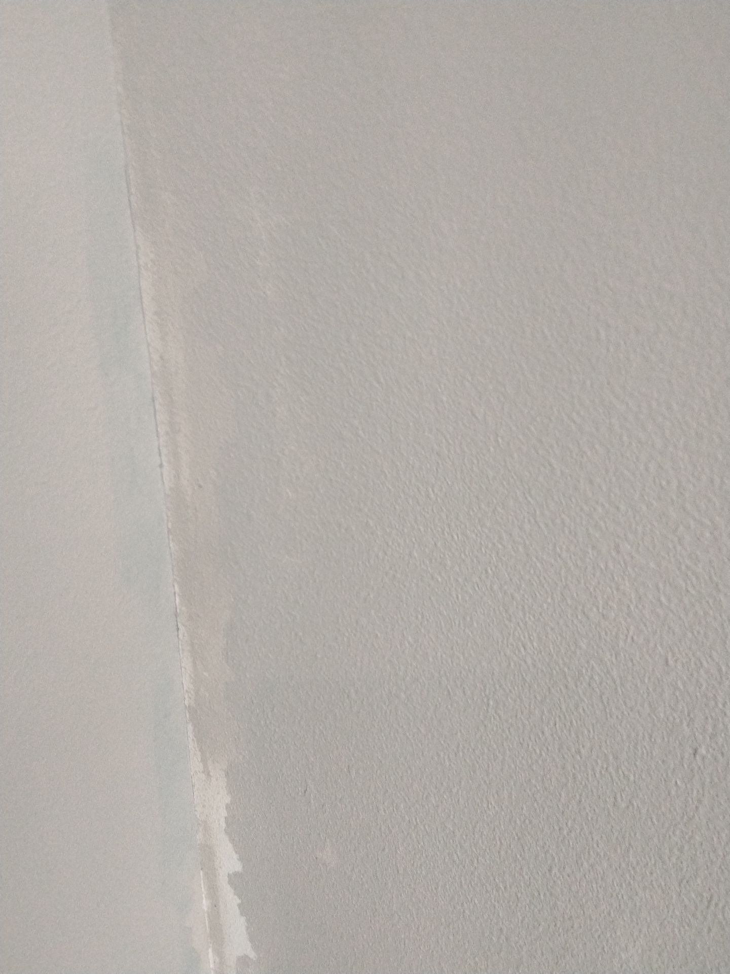 Project in Waukee by Midwest Paint LLC