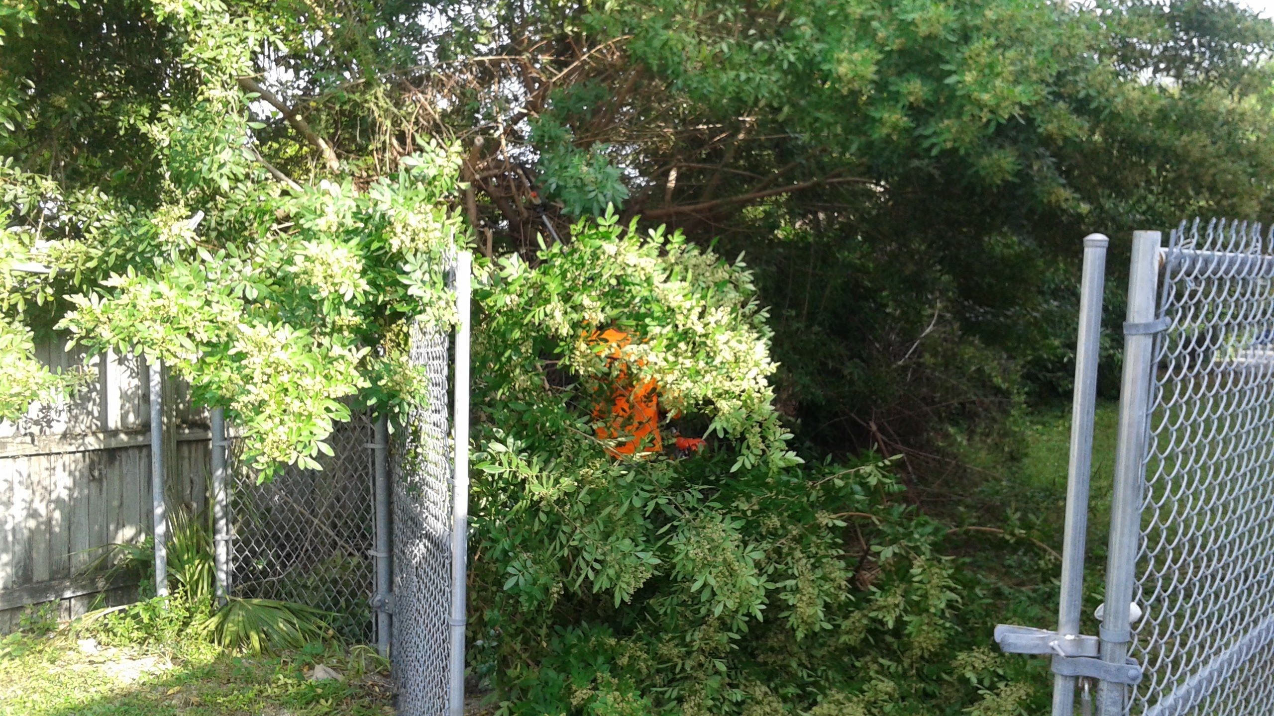 General Maintenance by 
M.A.B. Landscaping & Property Maintenance