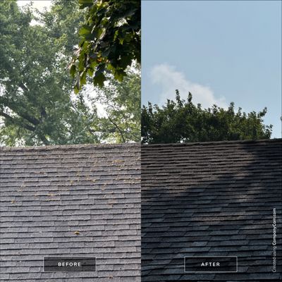 Project in Crystal Lake