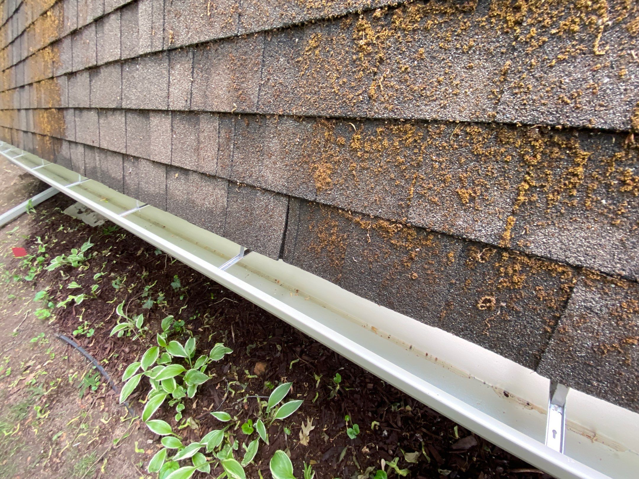 Siding Replacement using CertainTeed Restoration Classis D4 by 180 Contractors
