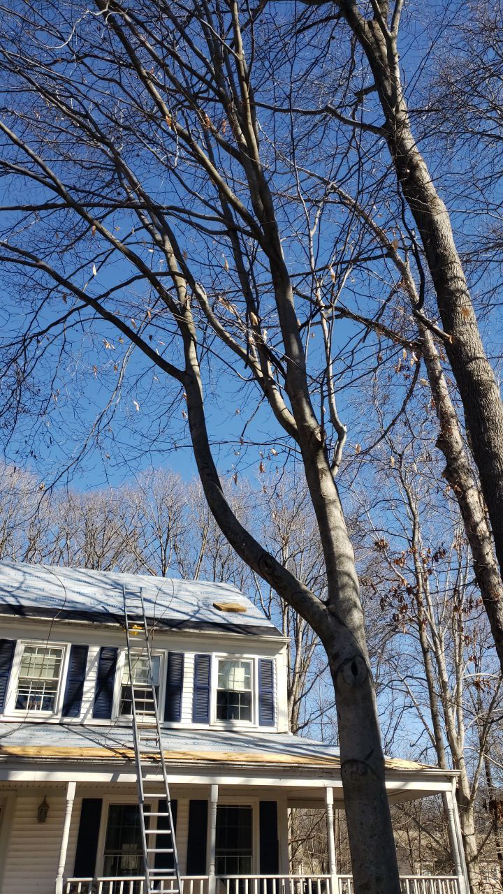 Woodbridge CertainTeed Landmark Pro MD Charcoal Black New Roof Installation by RM Banning, Inc.