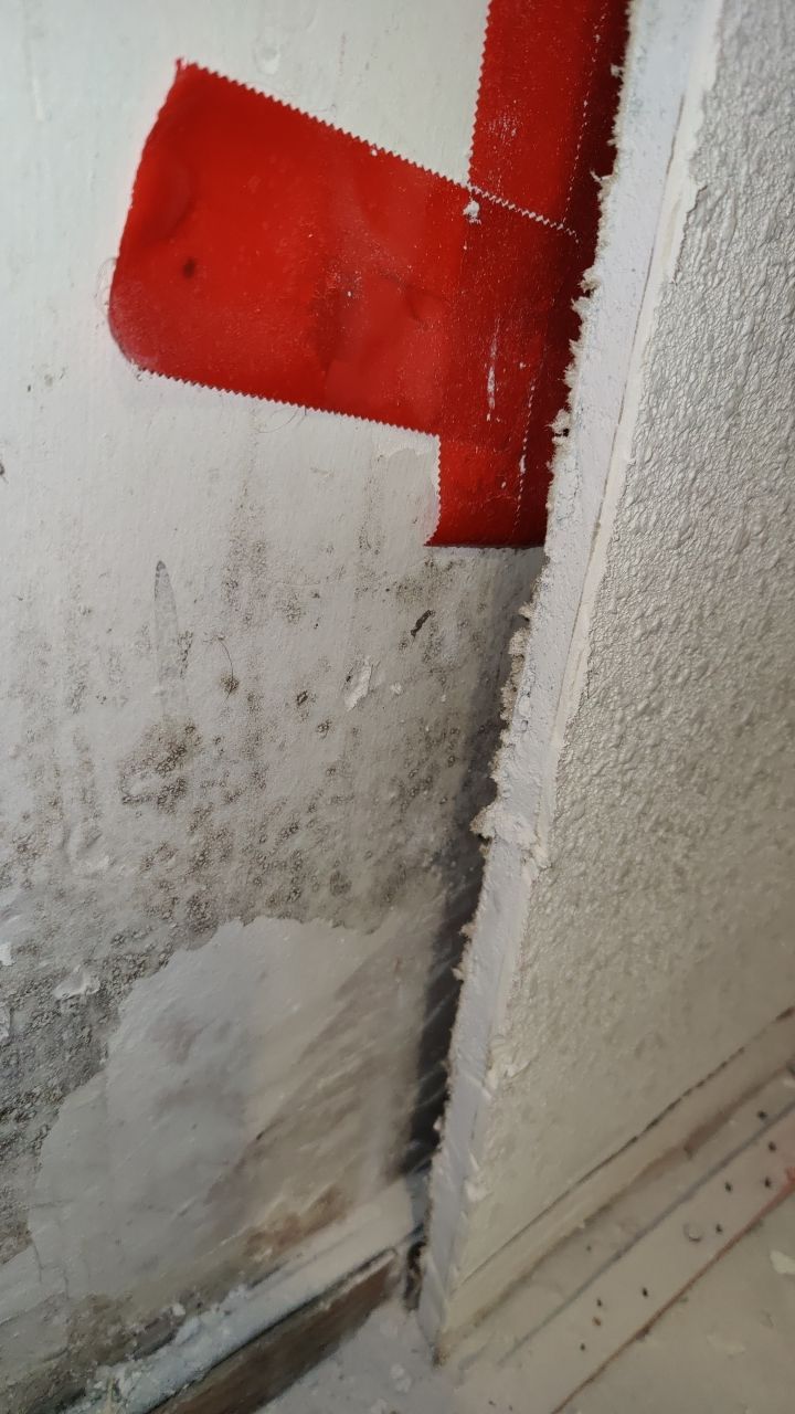 Mold Remediation by Accountable Home Services