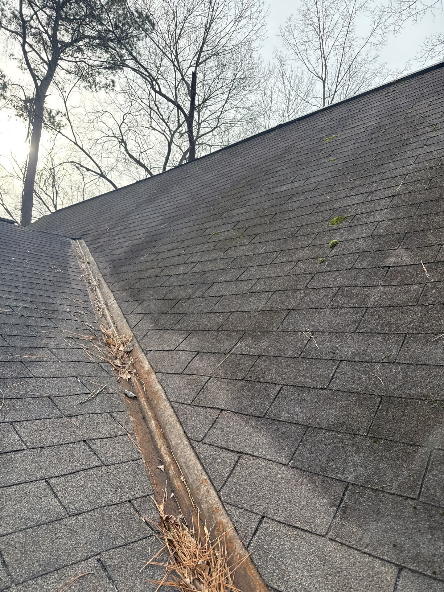 Asphalt Roof Replacement in Northport by NANOROOF Alabama