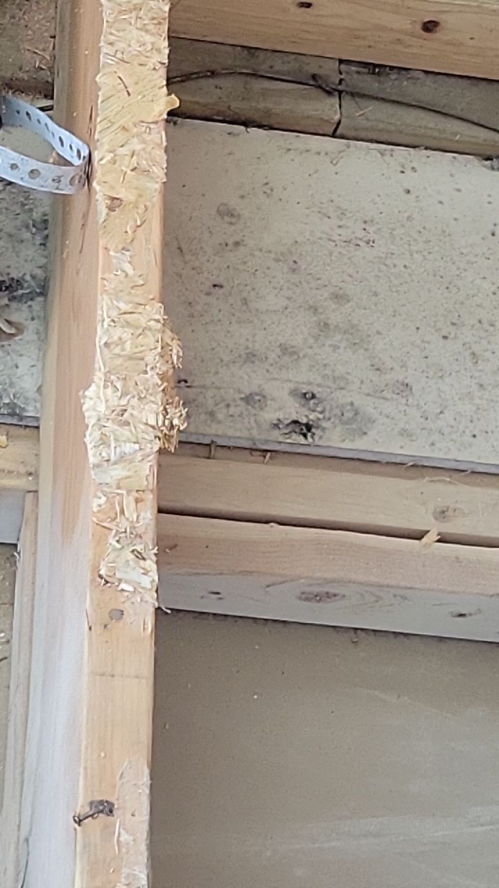 Mold Remediation by Accountable Home Services