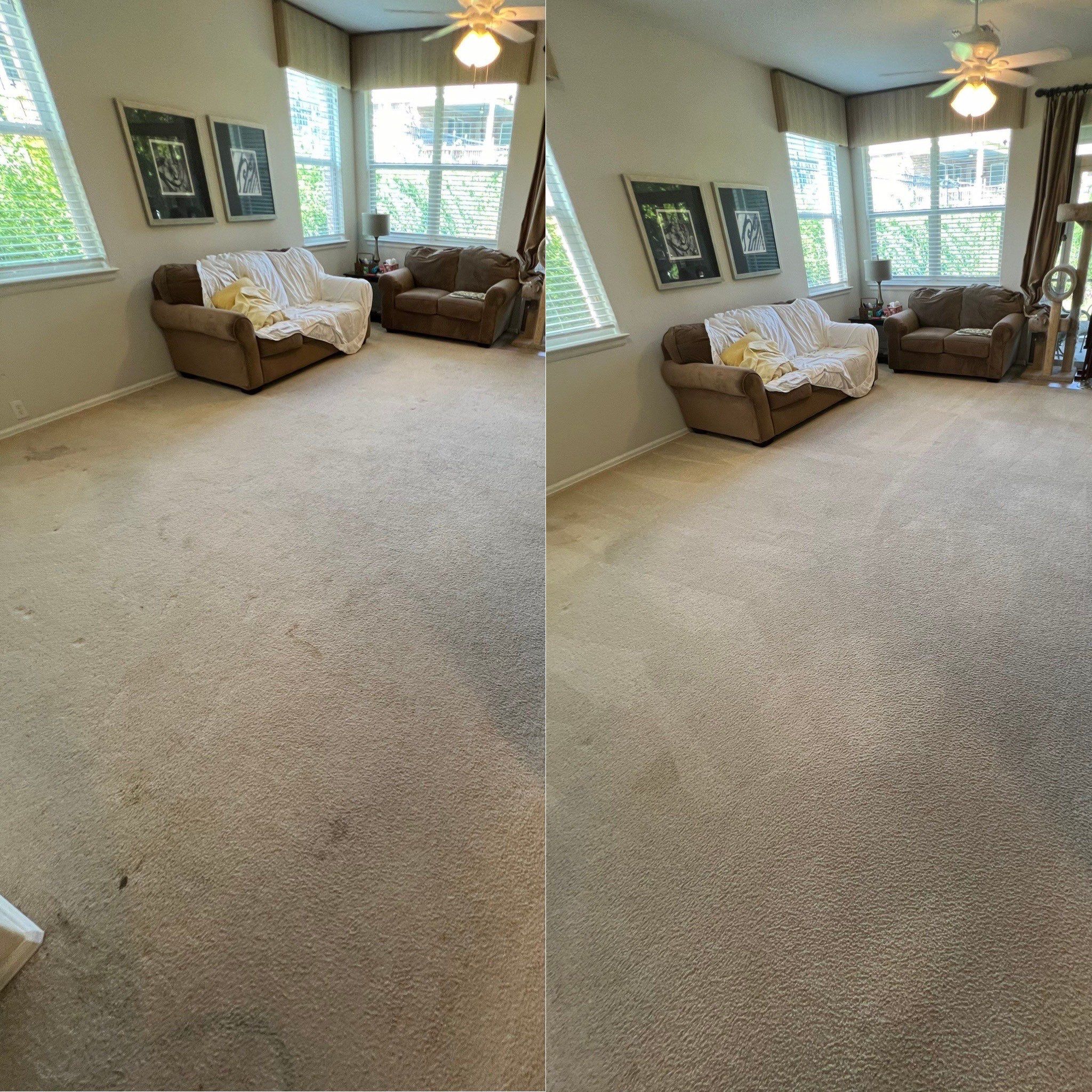 carpet cleaning service showing before and after results with visibly cleaner living room carpet in san antonio home