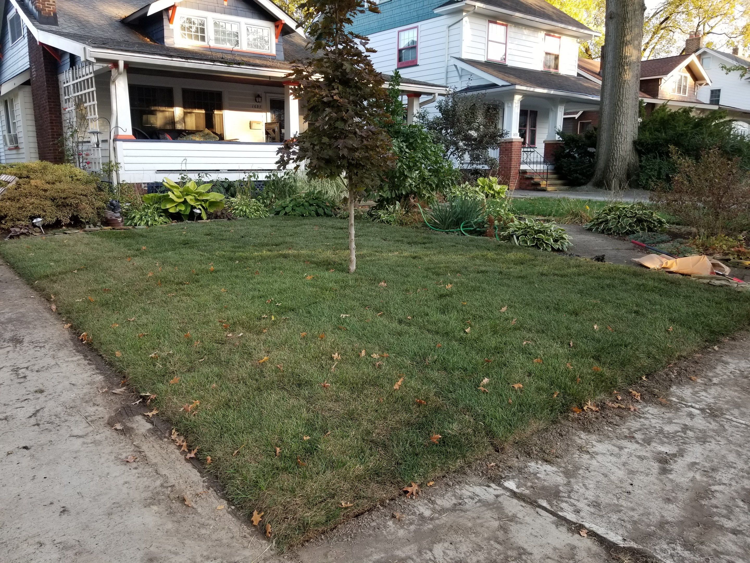 Woodland Island Project by Elm Rose Gardens