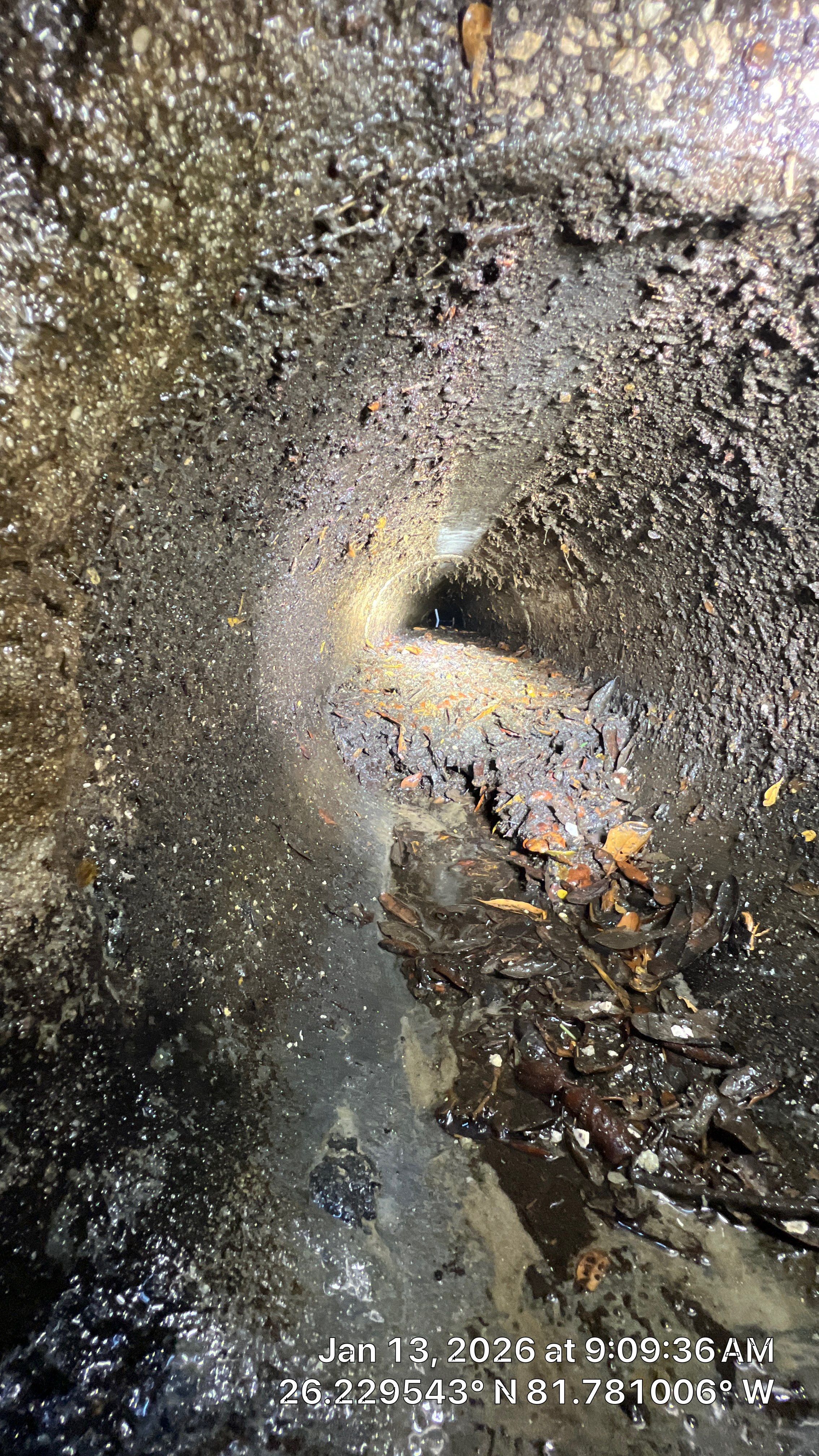 Naples Community Root Intrusion Investigation with P.R.S. by APS Power & Water