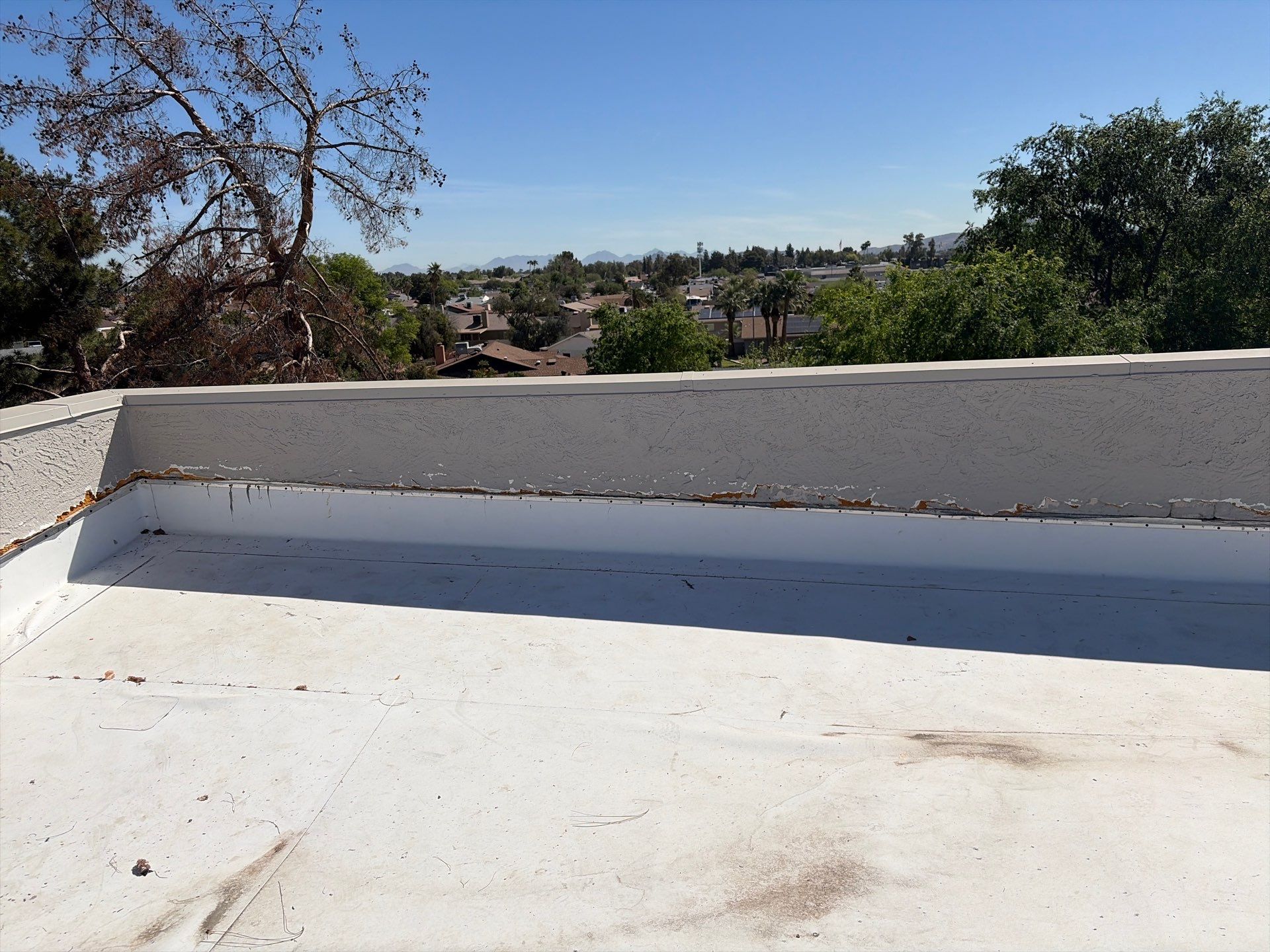 Project in Glendale by Crush Development Services LLC