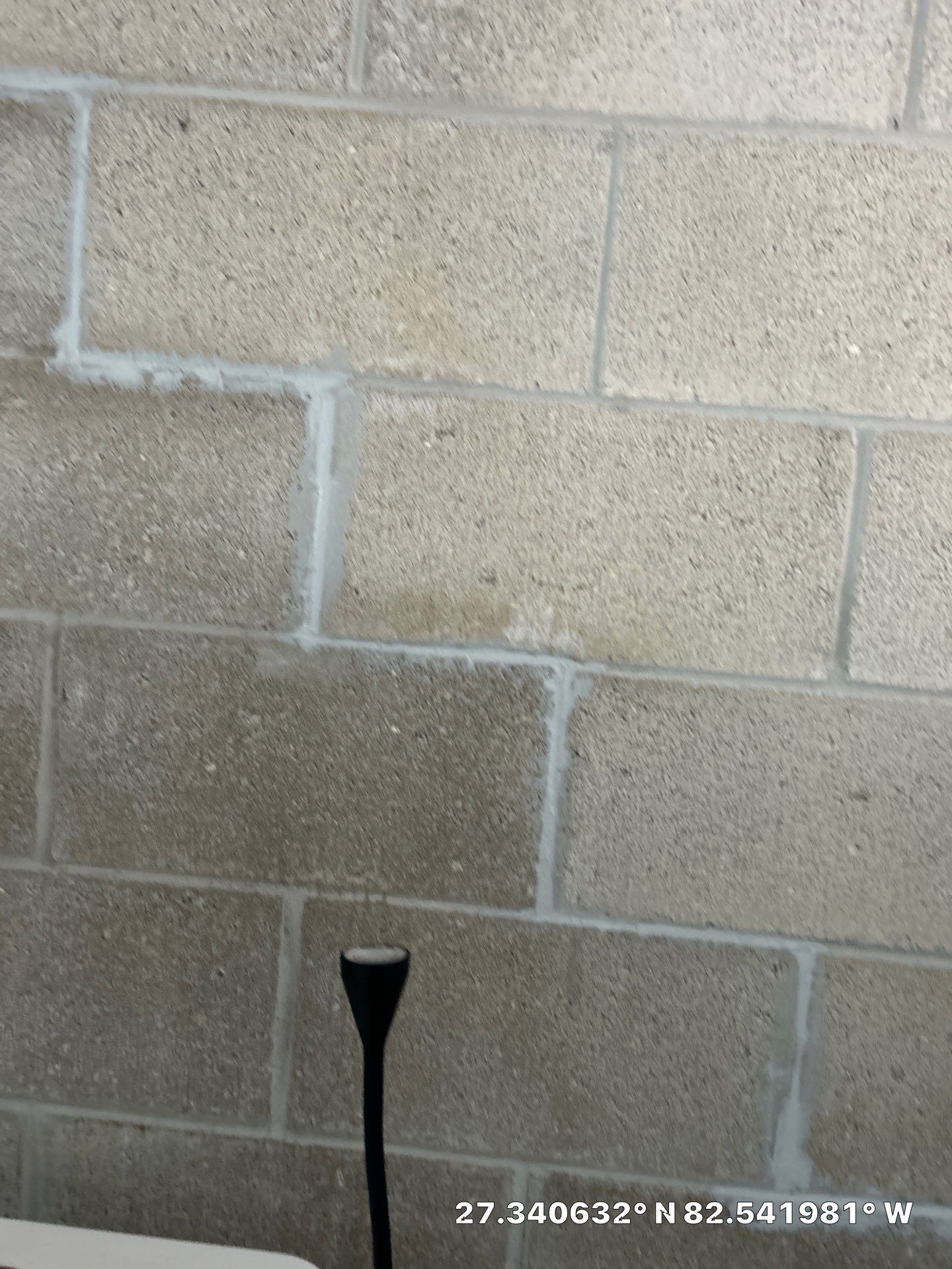 Commercial Mold Removal  by Ampm Restoration Services 