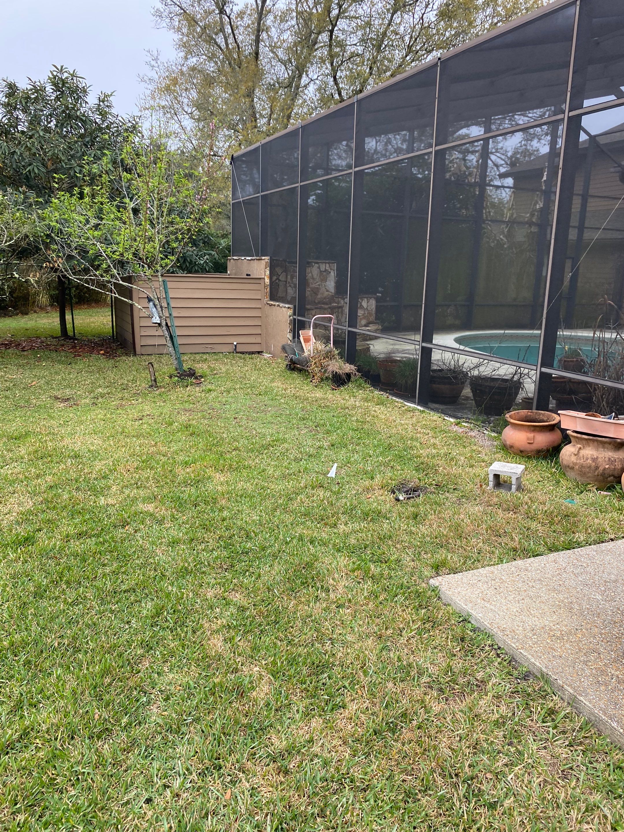 Deerwood Resident | Tree Install by ProGreen Services