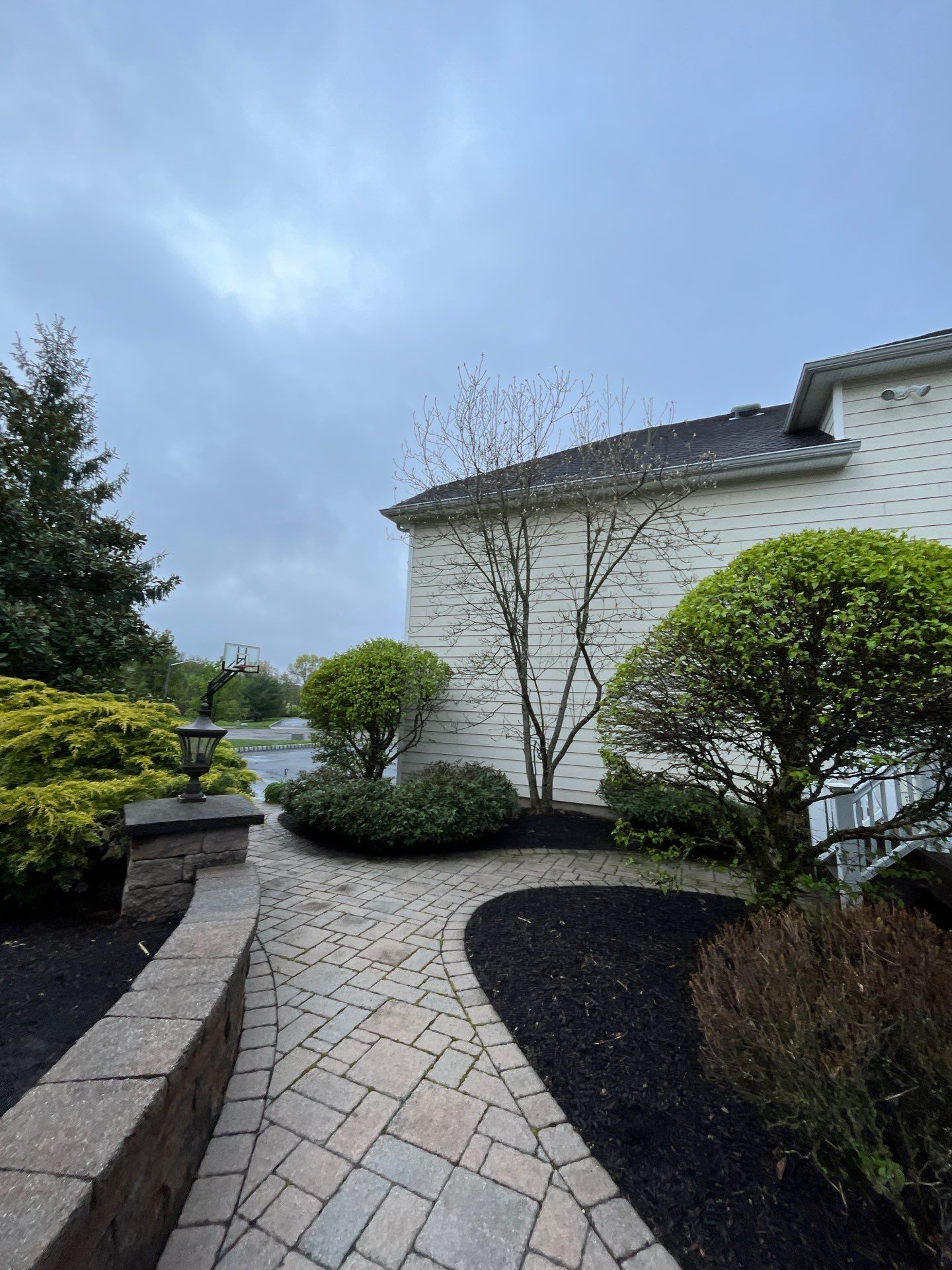 Lawn Care and Shrub Care at a beautiful Bridgewater property by Ants Plants