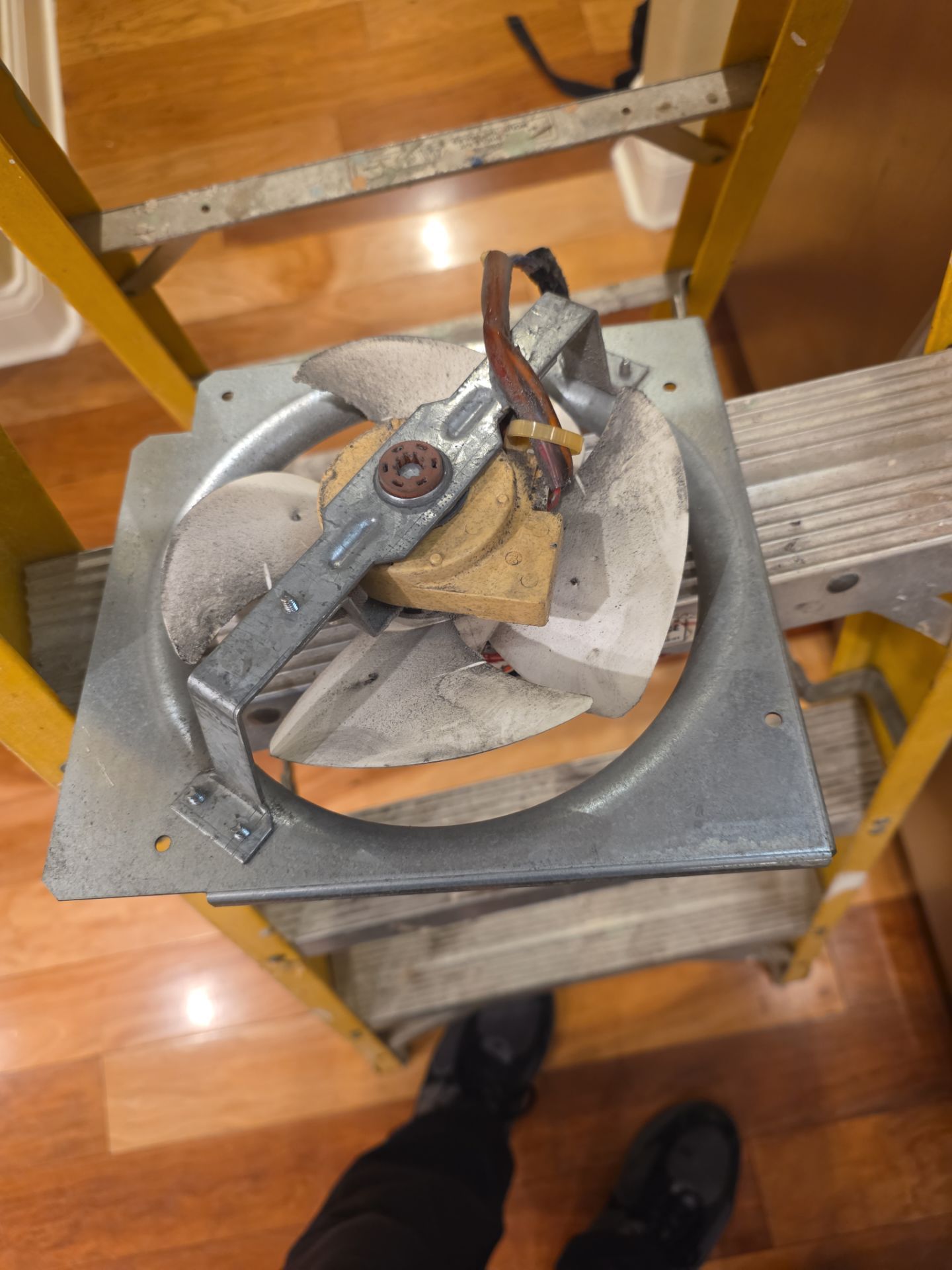 GE Monogram Built-In Refrigerator Repair and Component Replacement in Windermere by AMB-WORKS APPLIANCE REPAIR