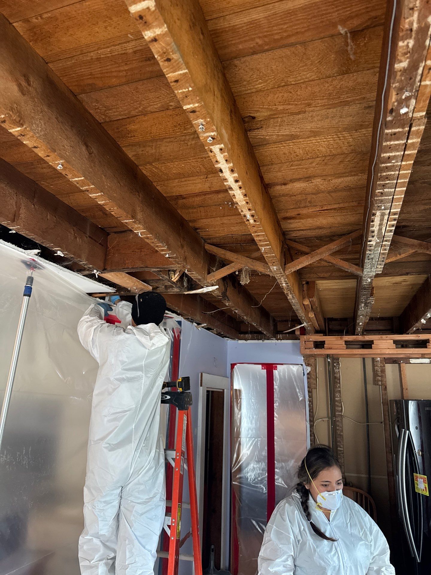 Comprehensive Mold Remediation and Kitchen Restoration in East Islip by Newhouse Restoration