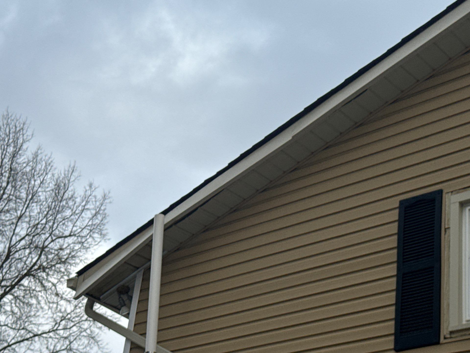 Dennis Maio by Silver Leaf Contracting 