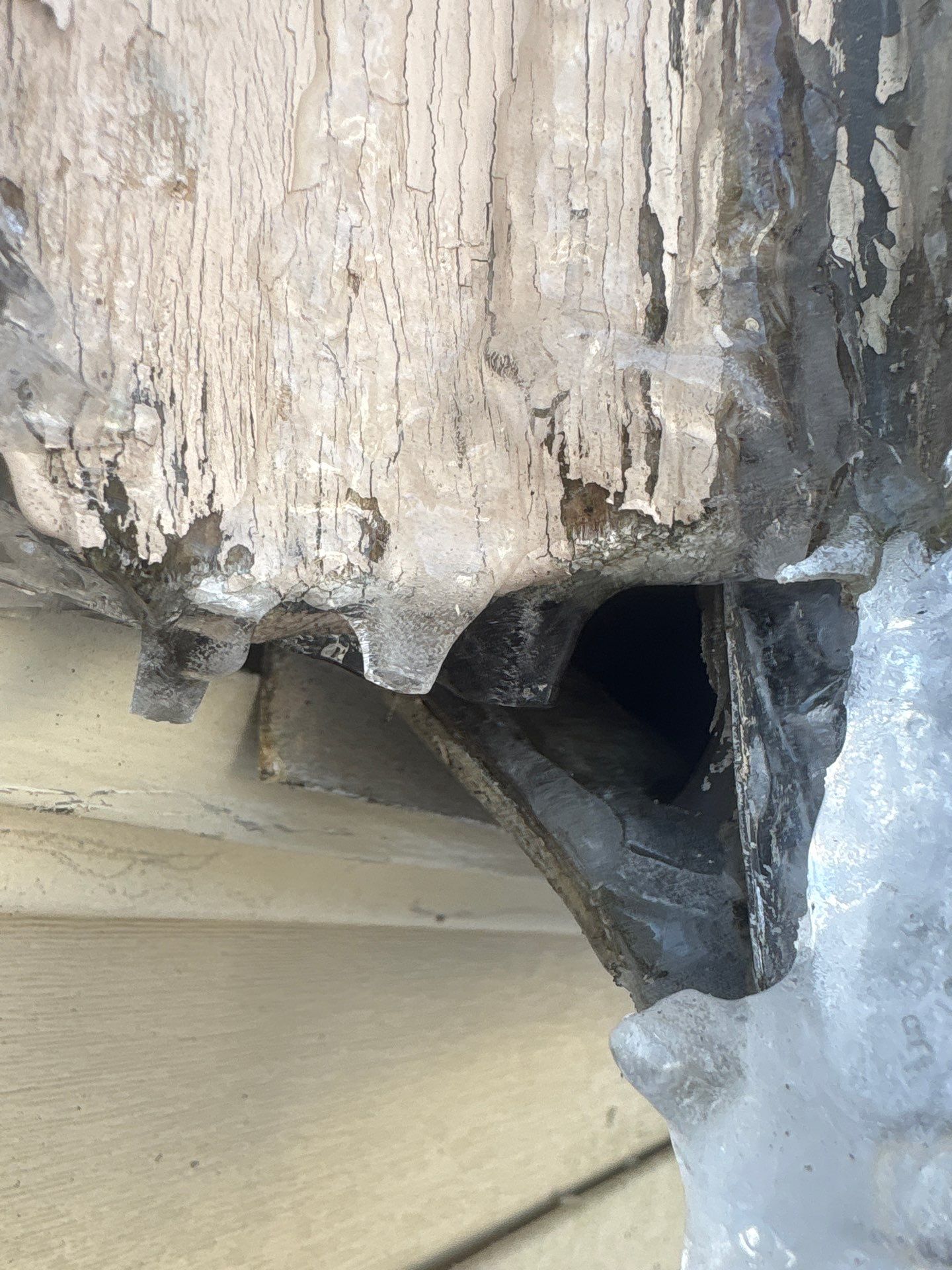 Ice dam removal by Mighty Dog Roofing of Greater Middlesex County