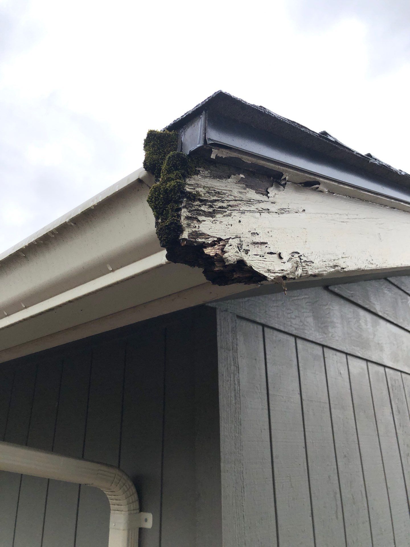 Project in Lynden by Peaks and Valleys Construction