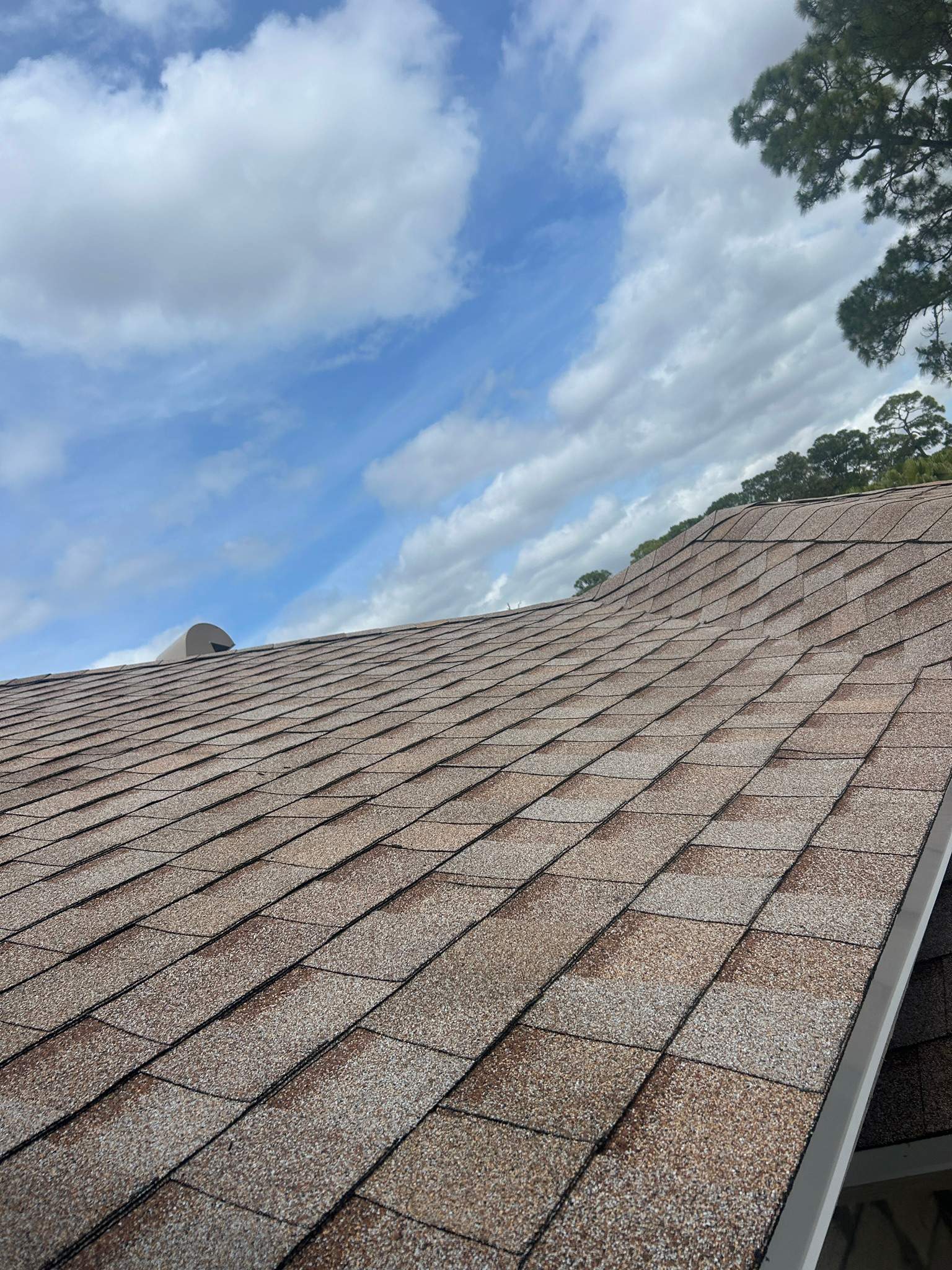 Tamko Heritage Desert Sand  by Total Roofing System The Metal Roof Experts