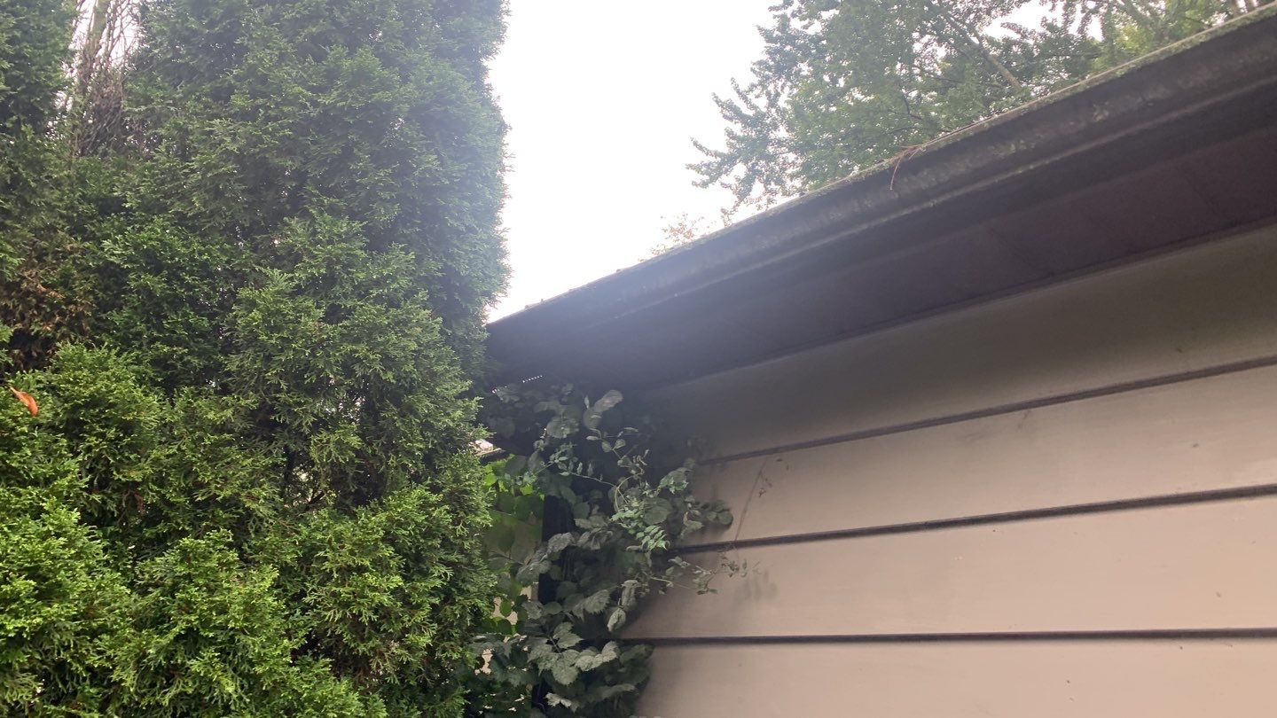 Justine Bader by Silver Leaf Contracting 